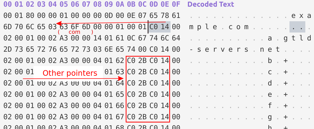 DNS pointer compression