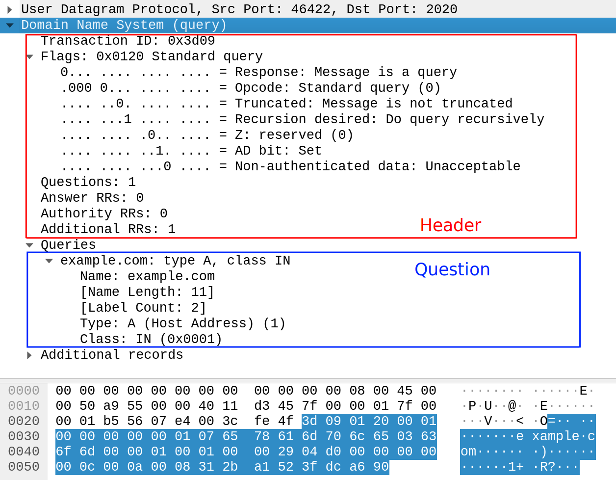 Wireshark dig capture