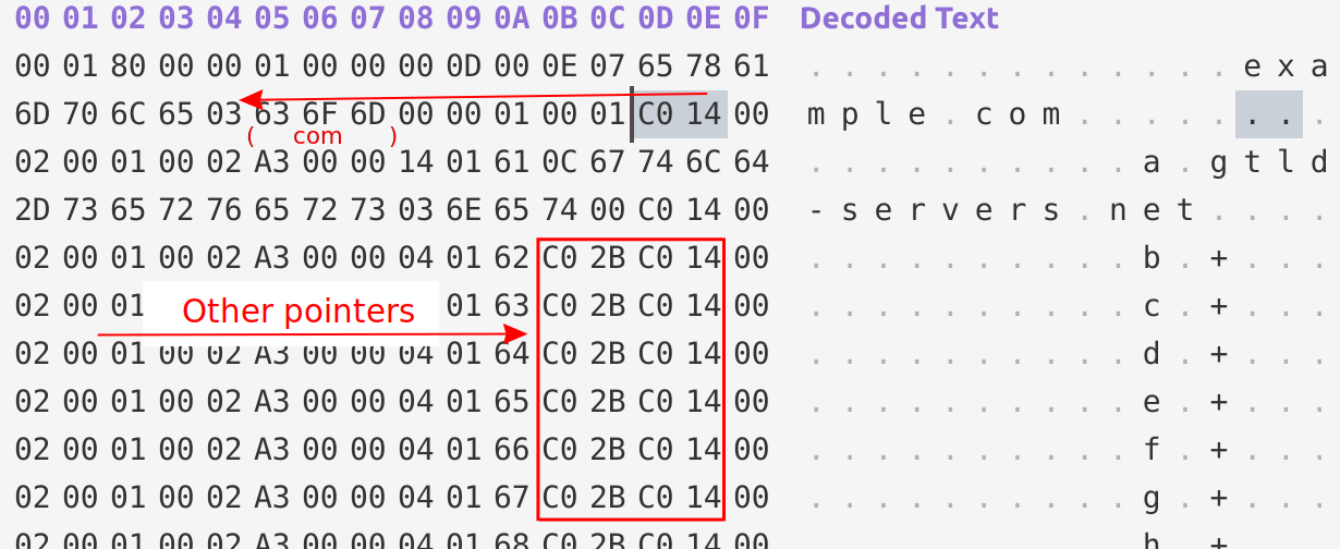 DNS-pointer-compression